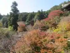 長谷寺(奈良県)