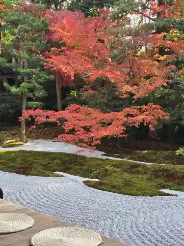 西来院(京都府)