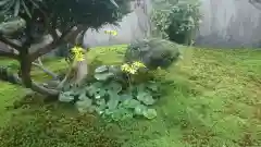 西方山極楽寺の庭園