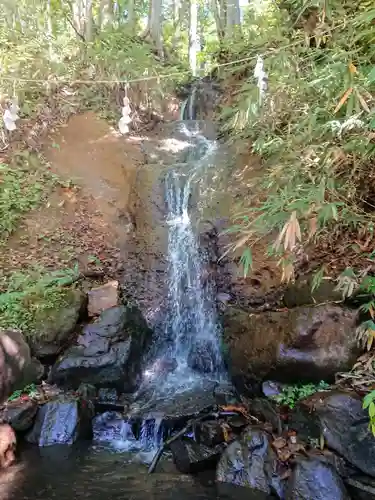 戸隠神社中社の自然