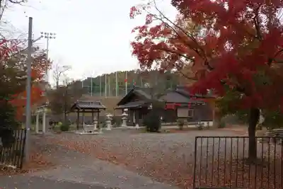 平井八幡神社（新旭町熊野本）(滋賀県)