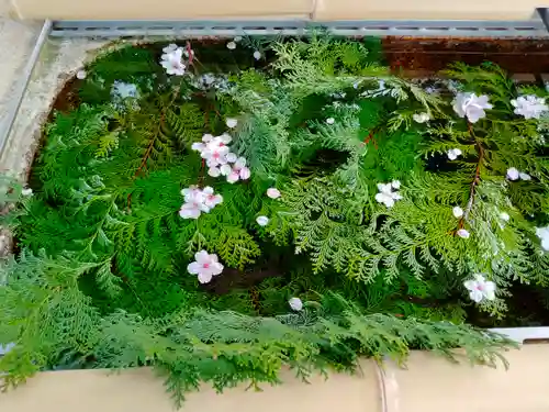 伊太祁曽神社の手水舎