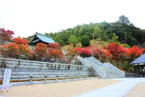 尊永寺の建物その他