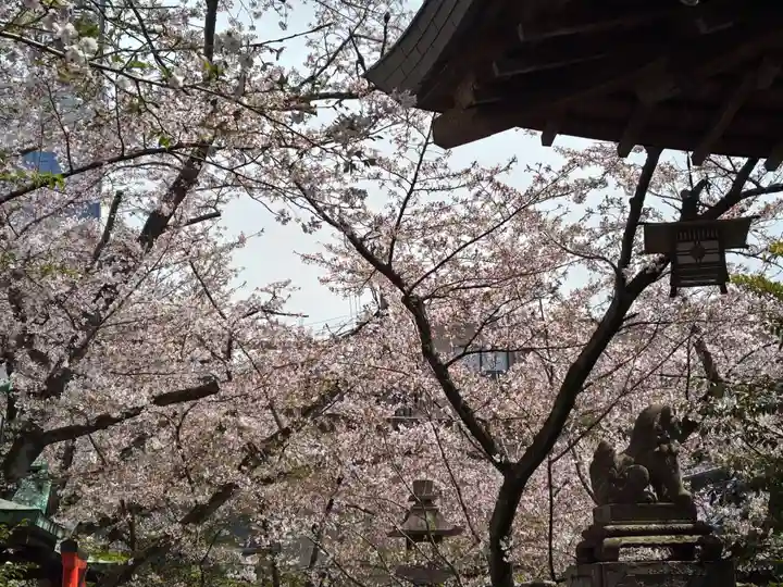 天孫神社(滋賀県)