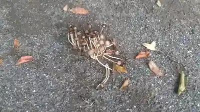 足切神社(福岡県)