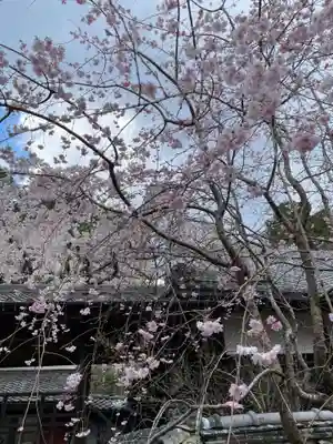 十輪寺(京都府)