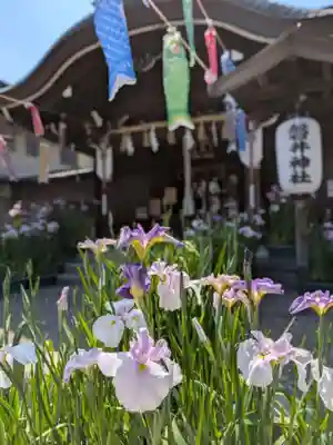 磐井神社(東京都)