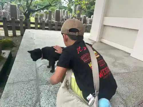 南州神社(鹿児島県)