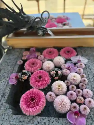 川越八幡宮(埼玉県)