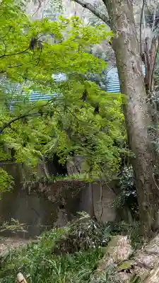 椎尾神社の自然