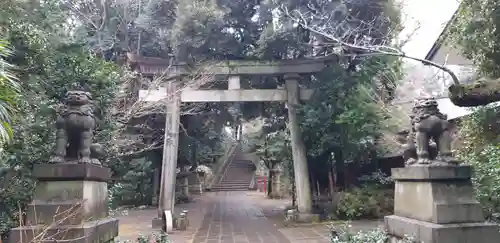 赤坂氷川神社の鳥居