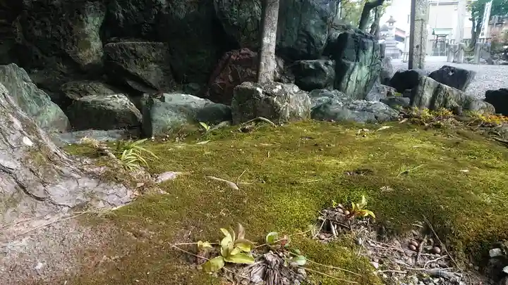 若宮神明社の自然