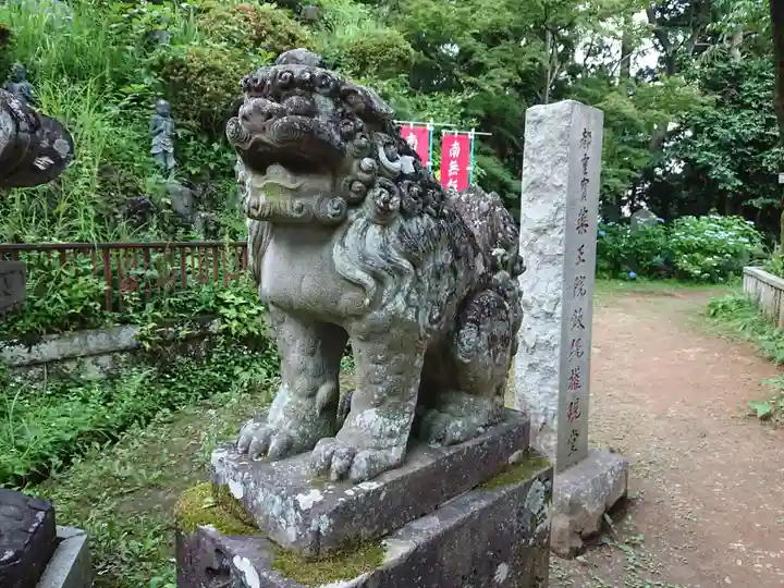 高尾山薬王院の狛犬