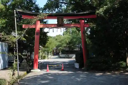 日根神社の鳥居