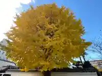 本法寺(京都府)