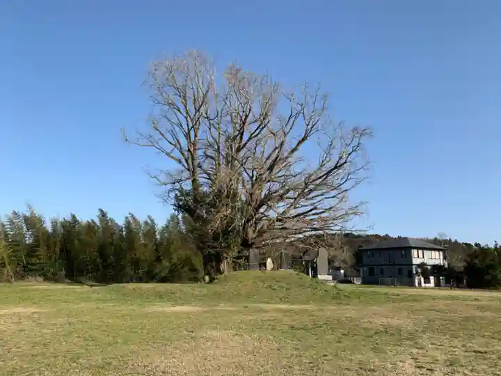 三峯神社の自然