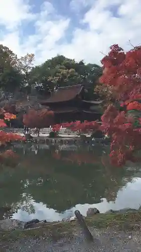 永保寺の庭園