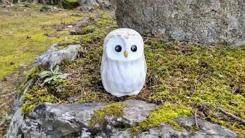 上川神社の狛犬