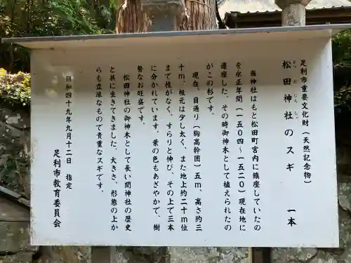 松田神社の{uncategorized: "未分類", other: "その他", undefined: "問題あり", building: "その他建物", grave: "お墓", sacred_gate: "鳥居", guardian: "狛犬", statue: "像", buddha: "仏像", history: "歴史", nature: "自然", garden: "庭園", animal: "動物", pagoda: "塔", temizu: "手水舎", mountain_gate: "山門・神門", sanctuary: "本殿・本堂", subordinate: "末社・摂社", art: "芸術", scenery: "景色", jizo: "地蔵", ema: "絵馬", goshuin: "御朱印", omikuji: "おみくじ", items: "授与品その他", amulet: "お守り", goshuincho: "御朱印帳", eats: "食事", festival: "お祭り", votive_dance: "神楽", shichigosan: "七五三参", wedding: "結婚式", experience: "体験その他", initially: "初詣", around: "周辺", anti_infection: "感染症対策"}