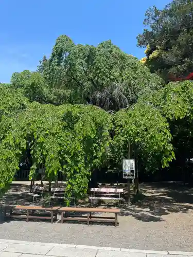 常陸第三宮　吉田神社の{uncategorized: "未分類", other: "その他", undefined: "問題あり", building: "その他建物", grave: "お墓", sacred_gate: "鳥居", guardian: "狛犬", statue: "像", buddha: "仏像", history: "歴史", nature: "自然", garden: "庭園", animal: "動物", pagoda: "塔", temizu: "手水舎", mountain_gate: "山門・神門", sanctuary: "本殿・本堂", subordinate: "末社・摂社", art: "芸術", scenery: "景色", jizo: "地蔵", ema: "絵馬", goshuin: "御朱印", omikuji: "おみくじ", items: "授与品その他", amulet: "お守り", goshuincho: "御朱印帳", eats: "食事", festival: "お祭り", votive_dance: "神楽", shichigosan: "七五三参", wedding: "結婚式", experience: "体験その他", initially: "初詣", around: "周辺", anti_infection: "感染症対策"}