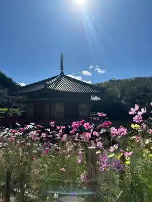 安倍文殊院 (奈良県)