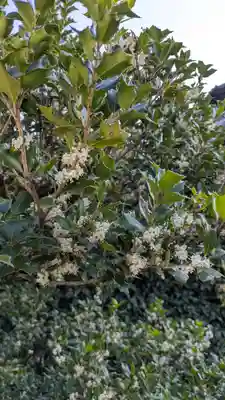 隨心院(随心院)(京都府)