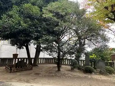 待乳山聖天（本龍院）(東京都)