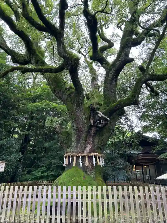 熱田神宮(愛知県)