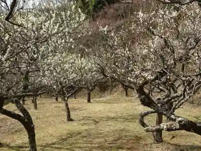 宝城坊(神奈川県)