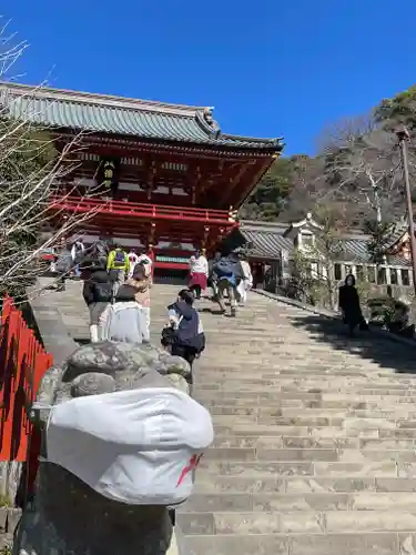 鶴岡八幡宮の狛犬