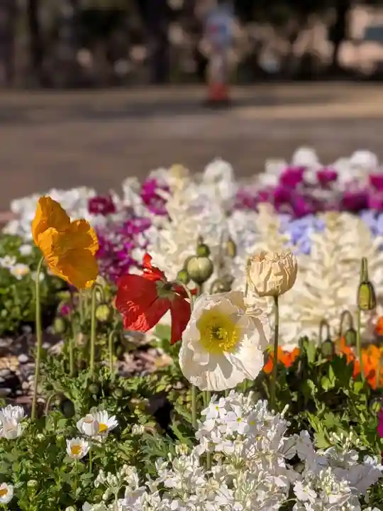 熊野神社(東京都)