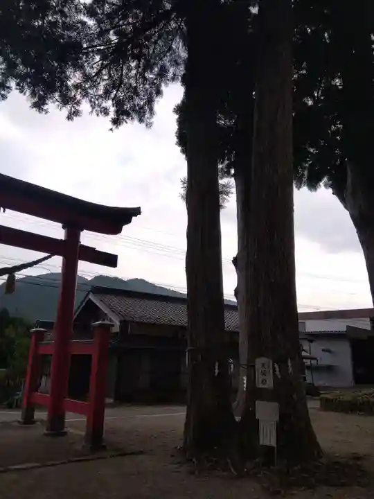 戸隠神社(岐阜県)