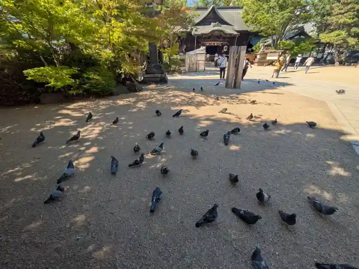 四柱神社(長野県)