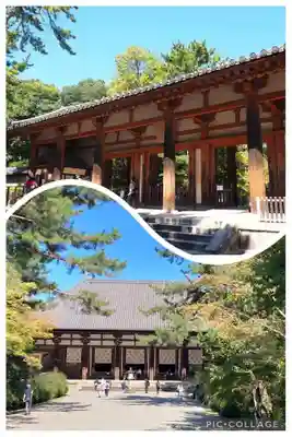 唐招提寺(奈良県)