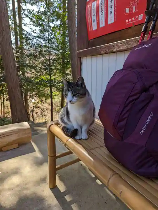 玉野御嶽神社の動物
