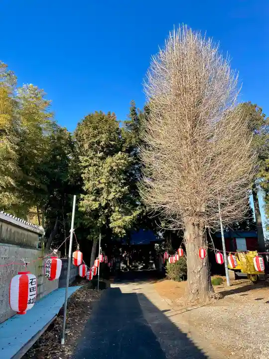 雷電神社(栃木県)