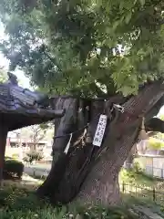 蒲田神社(大阪府)