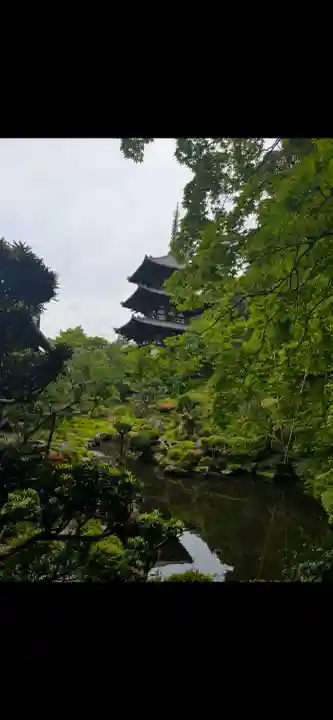 當麻寺の{uncategorized: "未分類", other: "その他", undefined: "問題あり", building: "その他建物", grave: "お墓", sacred_gate: "鳥居", guardian: "狛犬", statue: "像", buddha: "仏像", history: "歴史", nature: "自然", garden: "庭園", animal: "動物", pagoda: "塔", temizu: "手水舎", mountain_gate: "山門・神門", sanctuary: "本殿・本堂", subordinate: "末社・摂社", art: "芸術", scenery: "景色", jizo: "地蔵", ema: "絵馬", goshuin: "御朱印", omikuji: "おみくじ", items: "授与品その他", amulet: "お守り", goshuincho: "御朱印帳", eats: "食事", festival: "お祭り", votive_dance: "神楽", shichigosan: "七五三参", wedding: "結婚式", experience: "体験その他", initially: "初詣", around: "周辺", anti_infection: "感染症対策"}