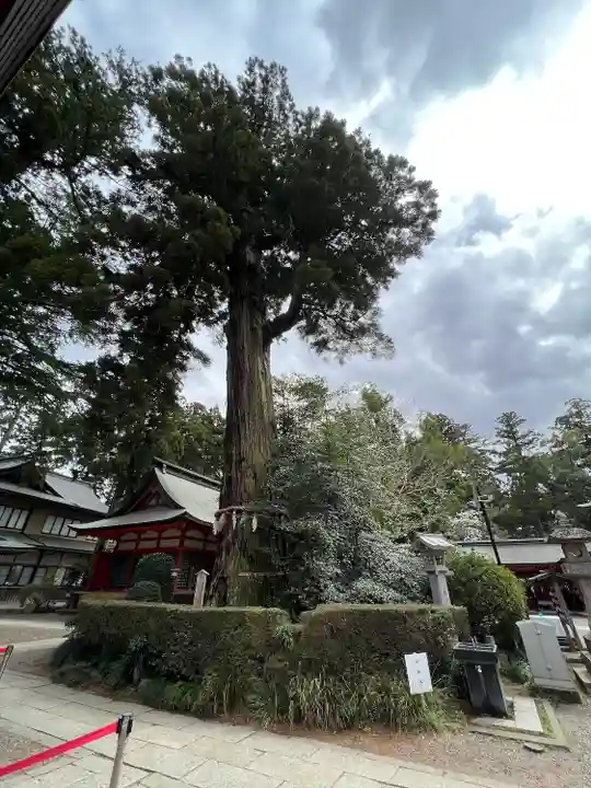 香取神宮(千葉県)