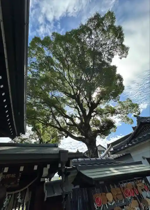 彌刀神社(大阪府)