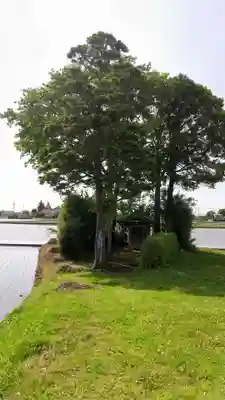 千勝大明神(茨城県)