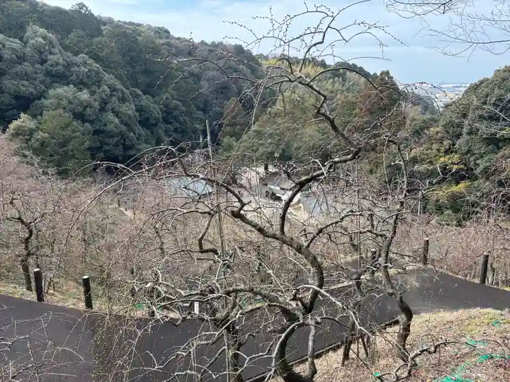 大縣神社(愛知県)