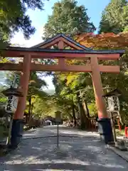 日吉大社の鳥居