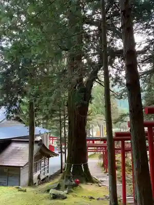 志和稲荷神社のその他建物