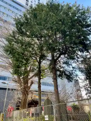 庚申神社の{uncategorized: "未分類", other: "その他", undefined: "問題あり", building: "その他建物", grave: "お墓", sacred_gate: "鳥居", guardian: "狛犬", statue: "像", buddha: "仏像", history: "歴史", nature: "自然", garden: "庭園", animal: "動物", pagoda: "塔", temizu: "手水舎", mountain_gate: "山門・神門", sanctuary: "本殿・本堂", subordinate: "末社・摂社", art: "芸術", scenery: "景色", jizo: "地蔵", ema: "絵馬", goshuin: "御朱印", omikuji: "おみくじ", items: "授与品その他", amulet: "お守り", goshuincho: "御朱印帳", eats: "食事", festival: "お祭り", votive_dance: "神楽", shichigosan: "七五三参", wedding: "結婚式", experience: "体験その他", initially: "初詣", around: "周辺", anti_infection: "感染症対策"}
