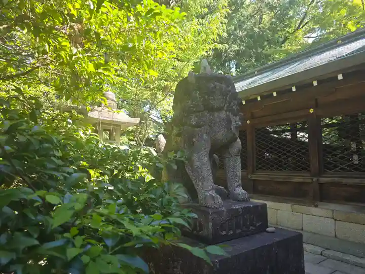 御霊神社(上御霊神社)(京都府)