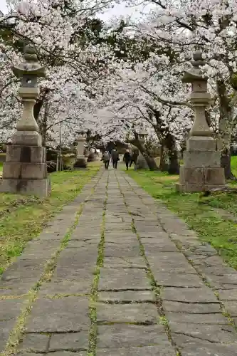 蒼柴神社(新潟県)