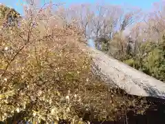 横浜　西方寺の自然