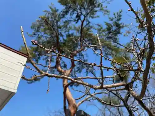 彌彦神社　(伊夜日子神社)の自然