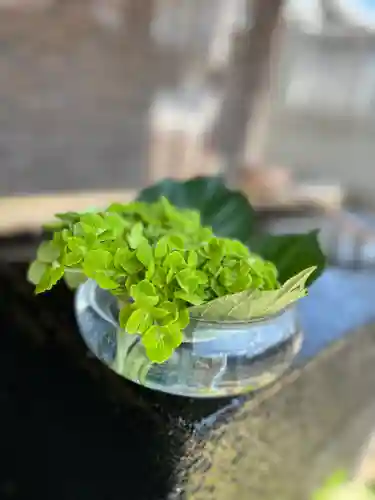 上尾御嶽神社の手水